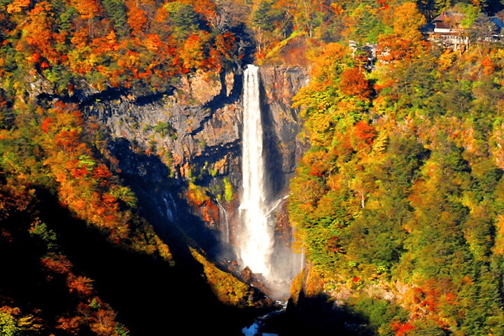 日光 紅葉 おすすめ 名所