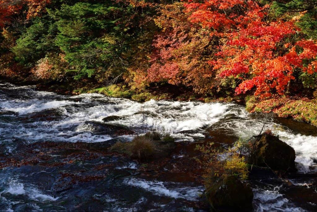 日光 紅葉狩り 注意点