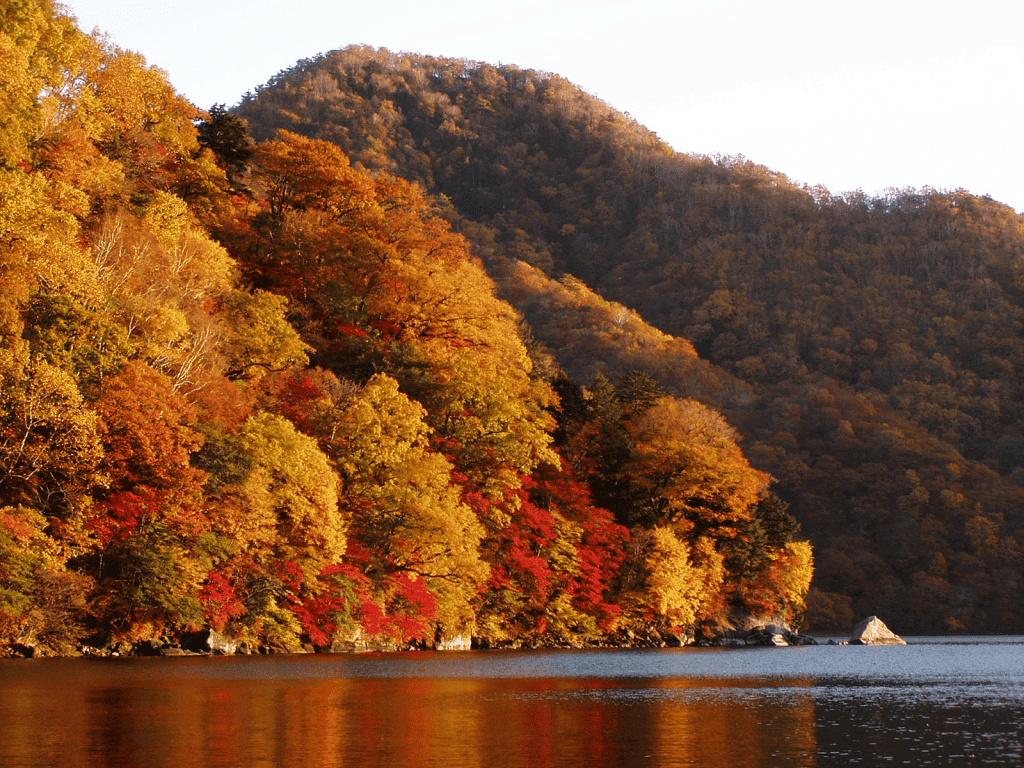 日光 紅葉 おすすめ 名所