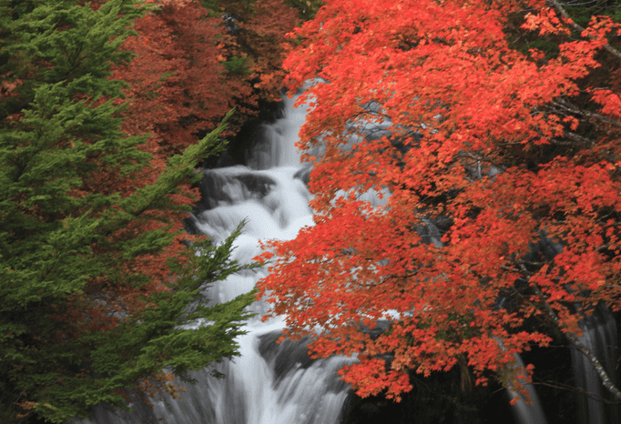 日光 紅葉 おすすめ 名所