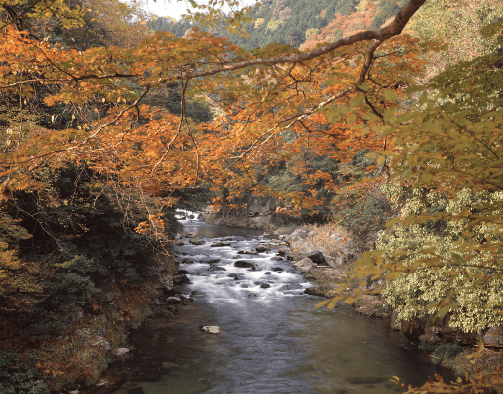 岡山 紅葉 赤和瀬渓谷