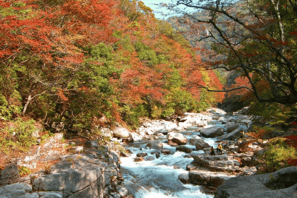 岡山　紅葉　奥津渓