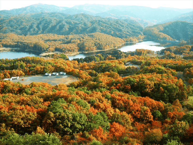 岡山　紅葉　恩原高原