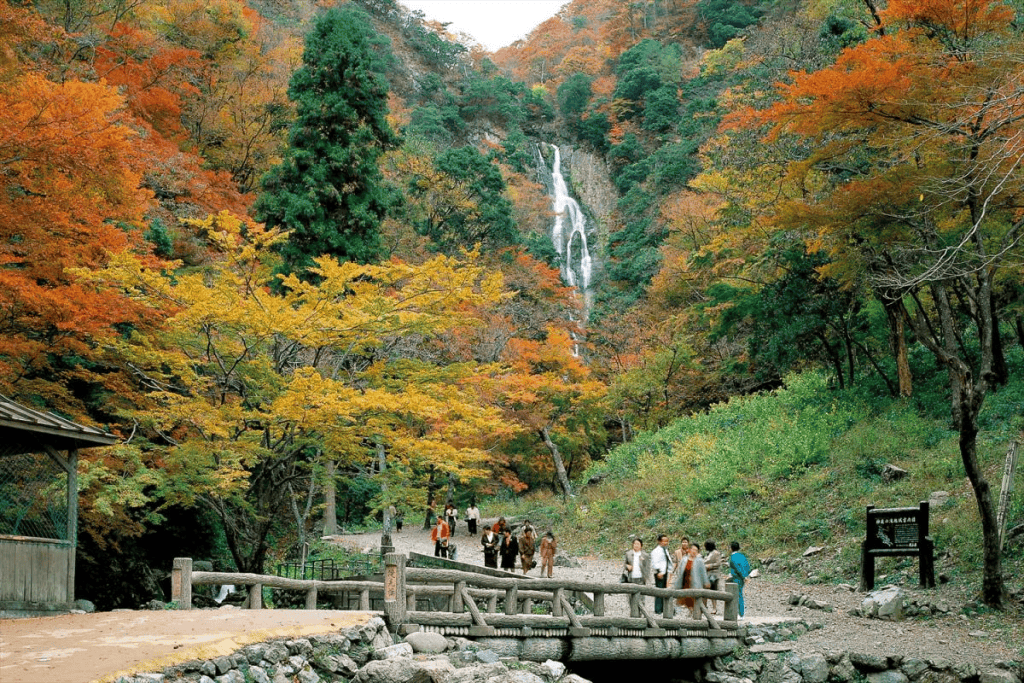 岡山　紅葉　神庭の滝