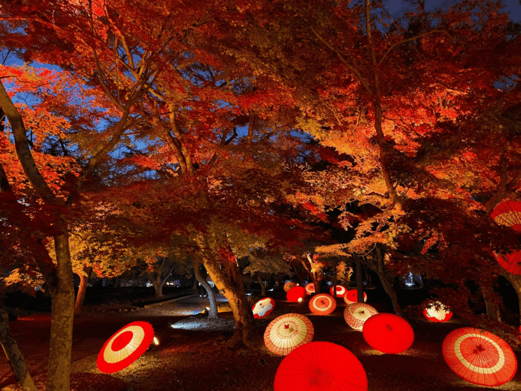 岡山　紅葉　鶴山公園