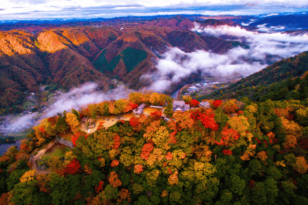 岡山　紅葉　備中松山城