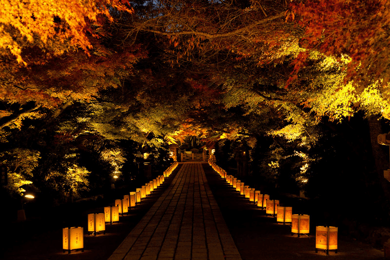 滋賀 紅葉　スポット