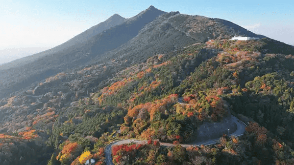 筑波山 紅葉 スカイライン