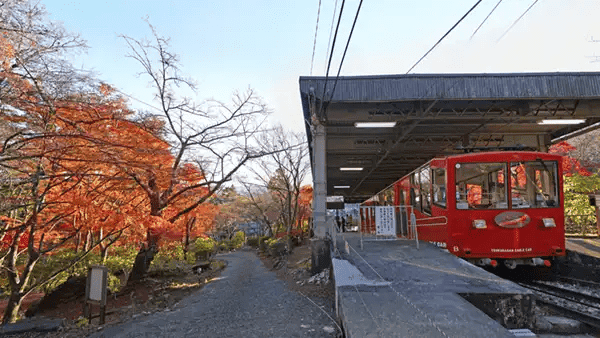 筑波山 紅葉 混雑 渋滞