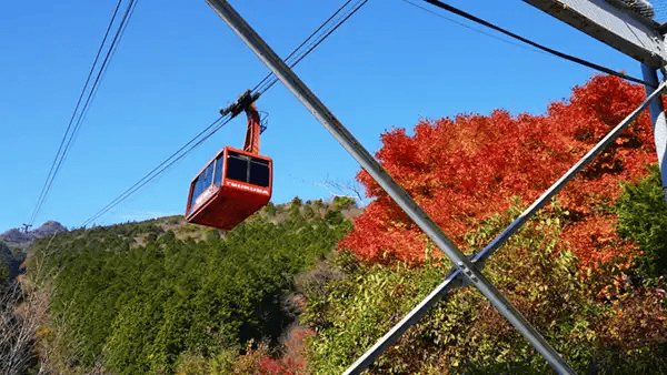 筑波山 紅葉 ロープウェイ