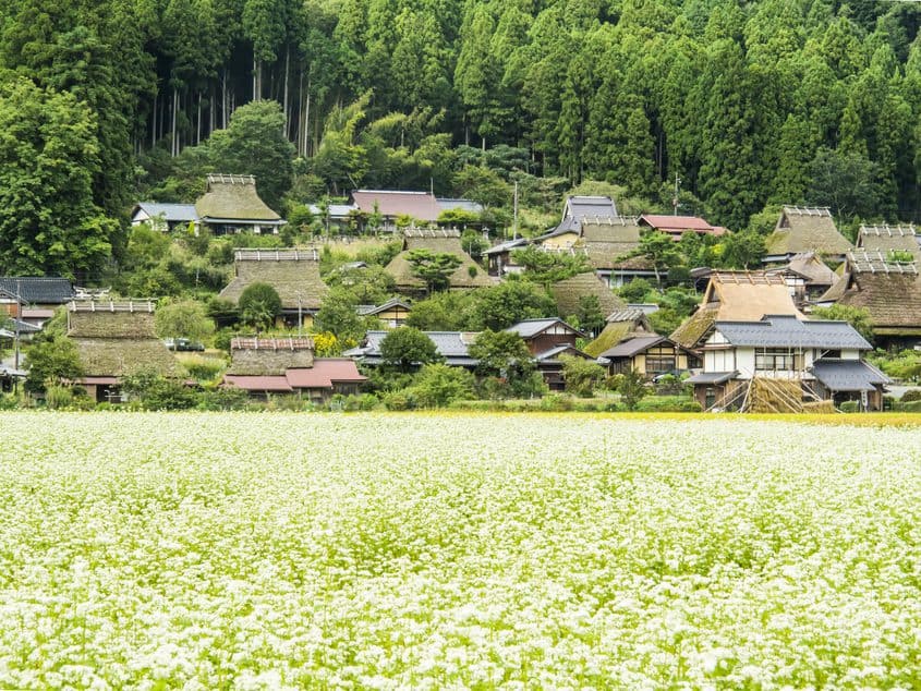 南丹市｜かやぶきの里北集落