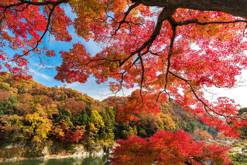 長瀞 紅葉