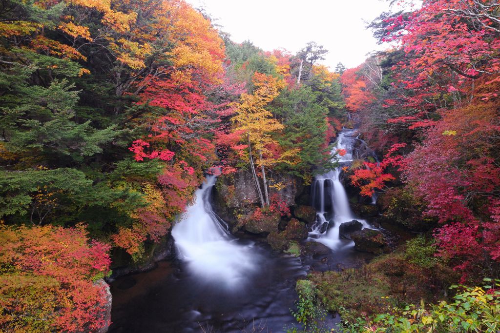 竜頭の滝 紅葉
