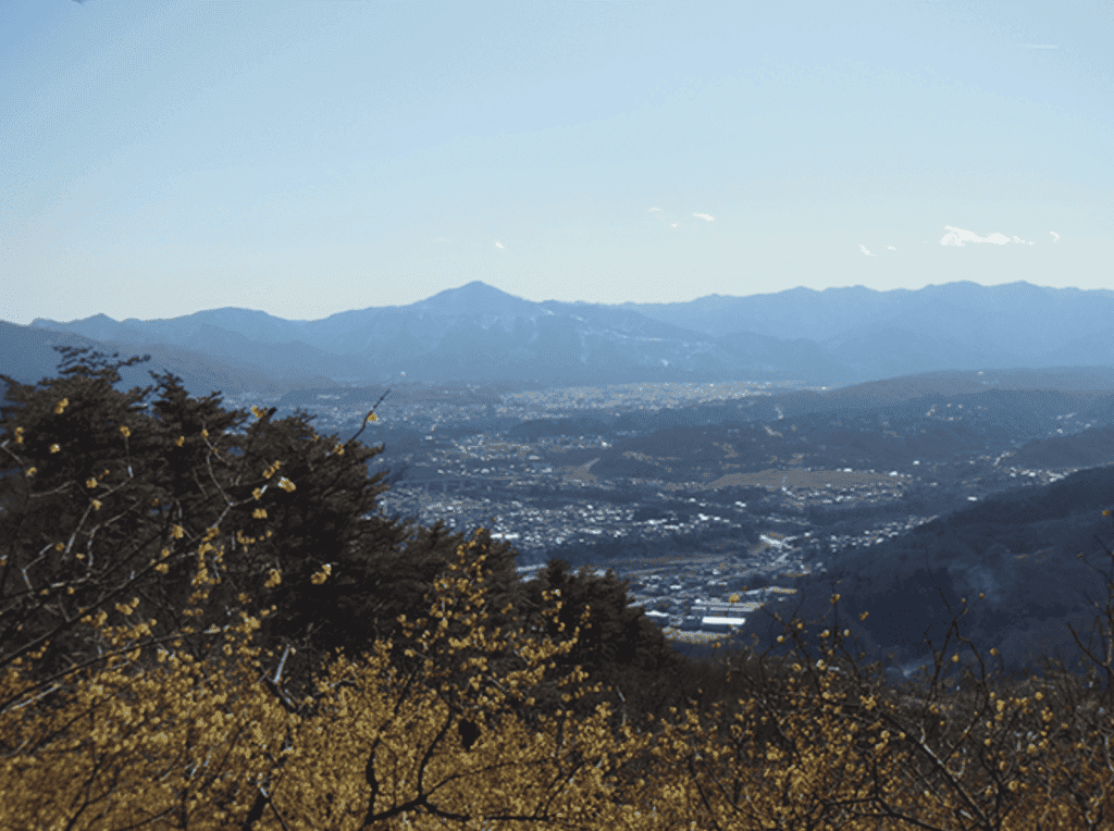 秩父郡｜宝登山