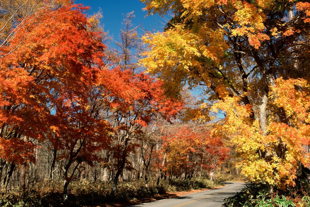 日塩もみじライン 紅葉
