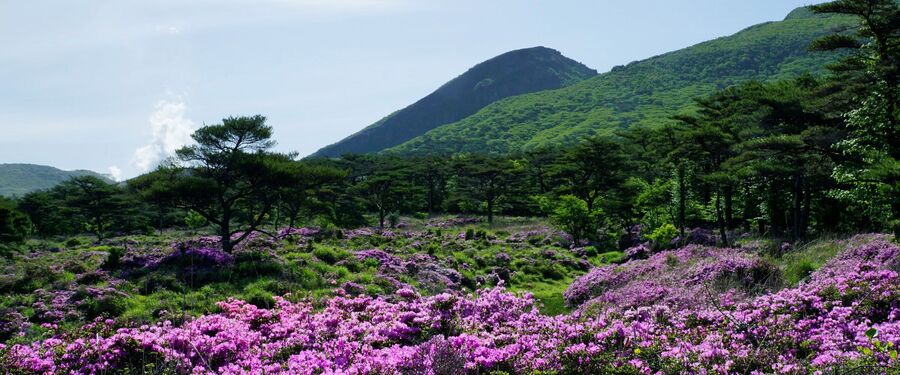 冬 旅行 おすすめ