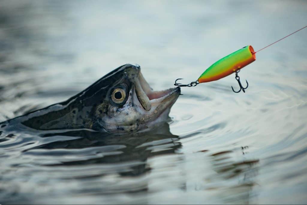 釣りスポット