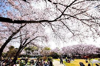 里見公園