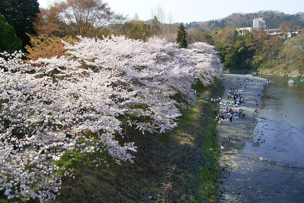 釜の淵公園