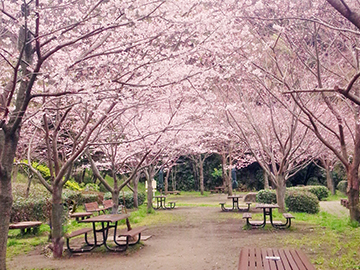 金沢自然公園バーベキュー広場