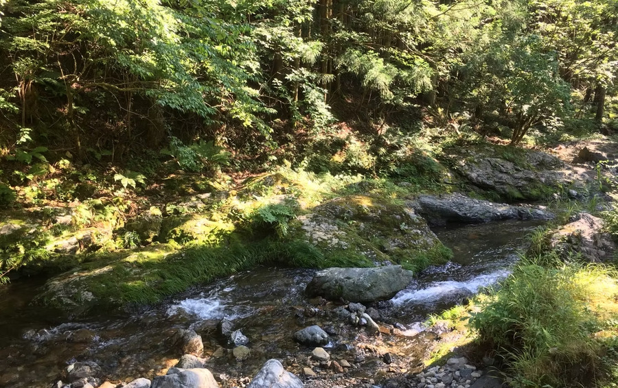 洞川キャンプ場