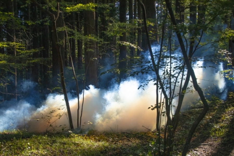 山火事発生時の避難行動