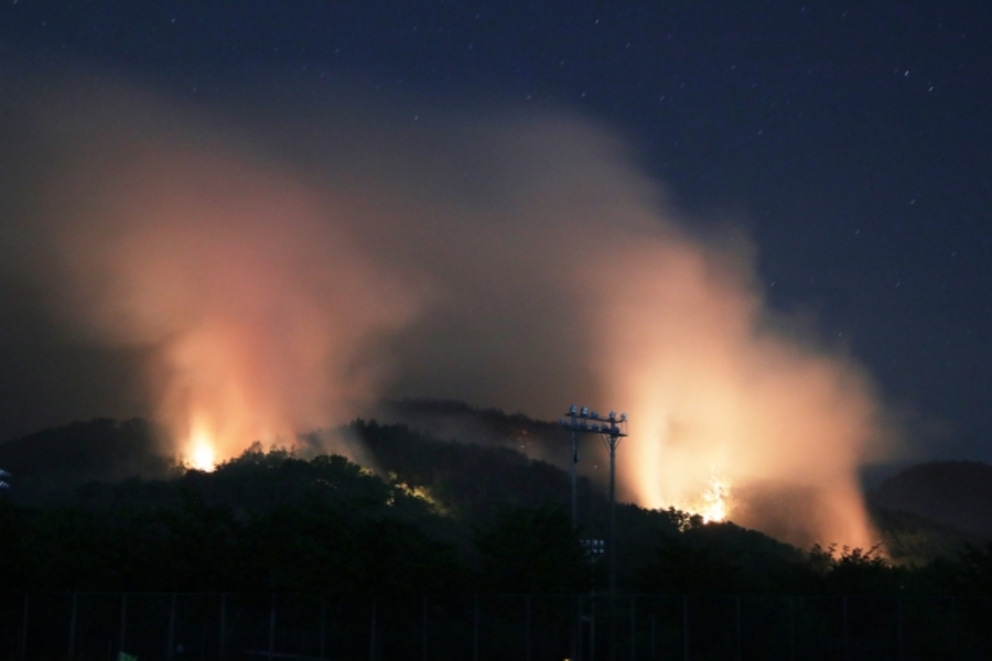 山火事による環境への影響と復旧