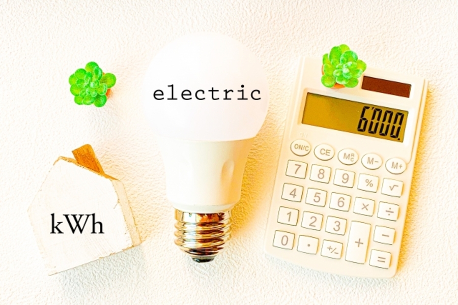 4人家族 電気代 構成 要素