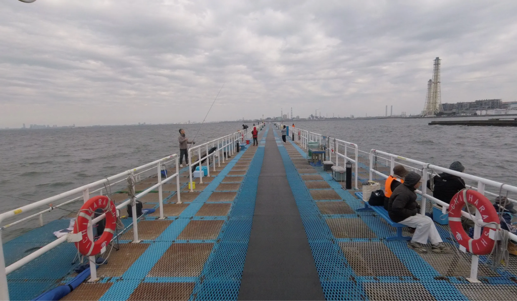 初心者 向け 海釣り公園