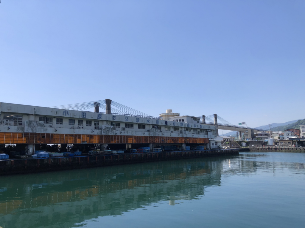 小田原漁港