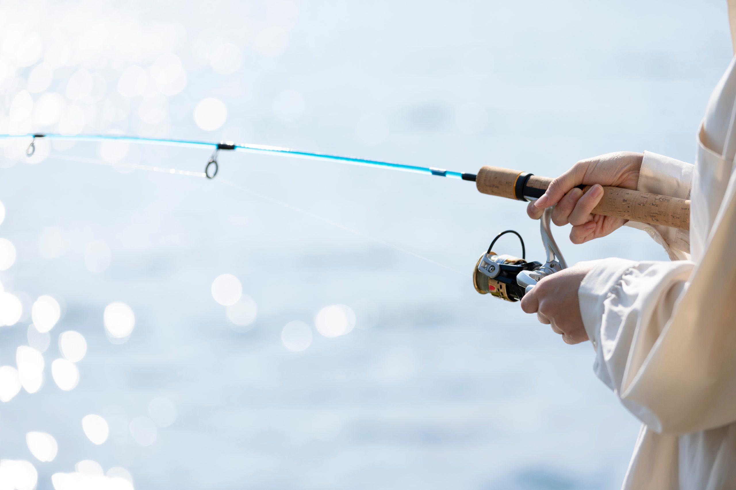 fishing-seasons-scaled.jpeg
