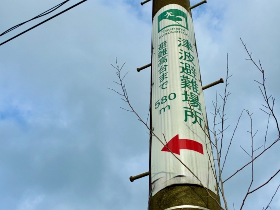 南海 地震 津波 対策
