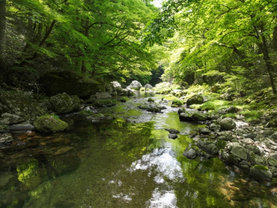 日帰り 穴場 避暑地