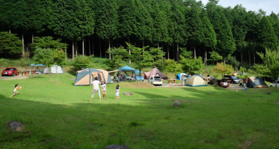 犬連れ 兵庫 フォレストステーション波賀東山オートキャンプ場