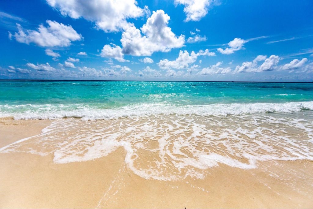 海水浴 シーズン 時間