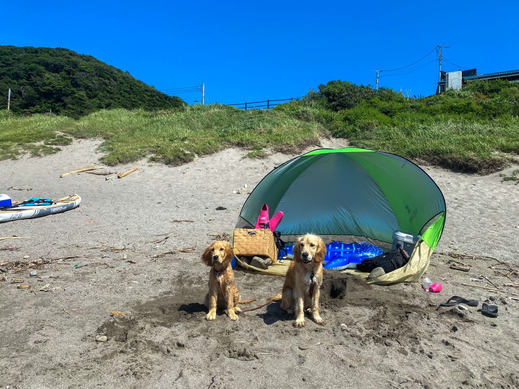 海水浴 テント 質問