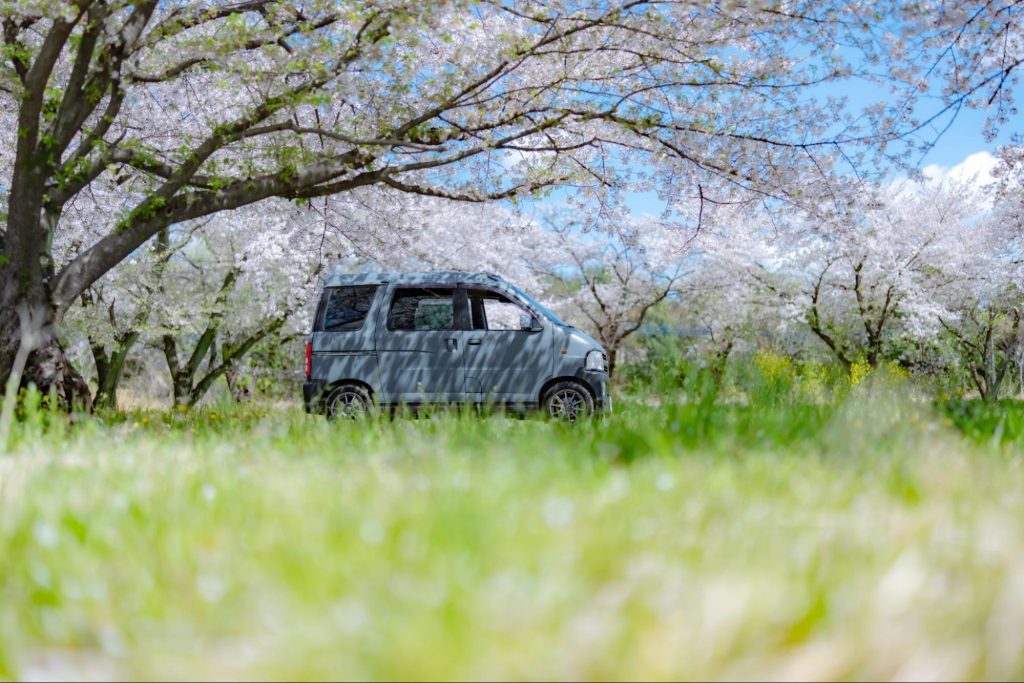 キャンプ レンタカー 注意点