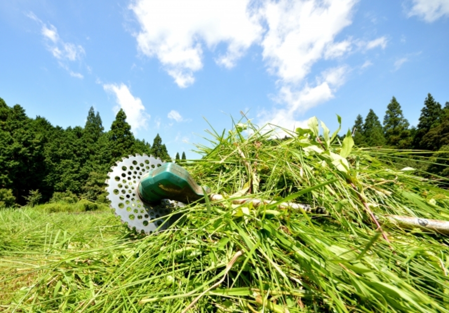 草刈り 時期