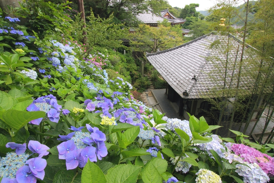 長谷寺