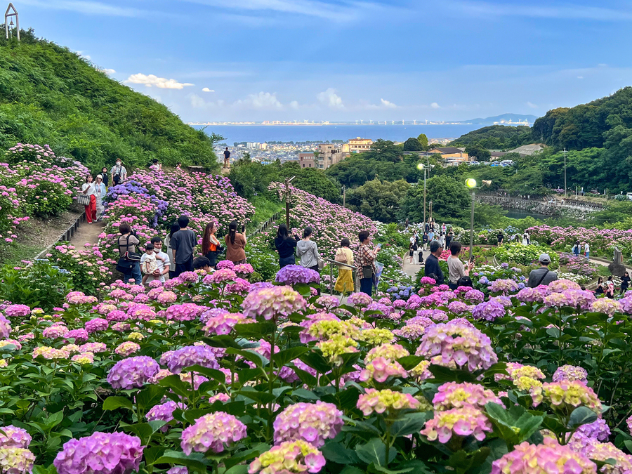 形原温泉 あじさい祭り