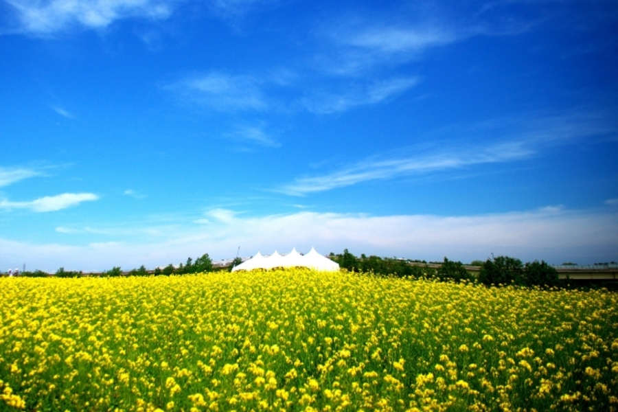 6月 北海道 観光