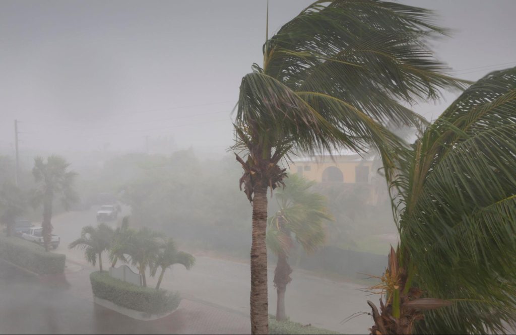 カーポート 台風 対応 保険