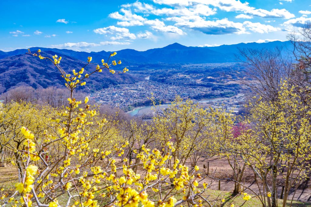 宝登山