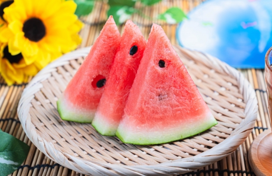 中学生 夏休み したい