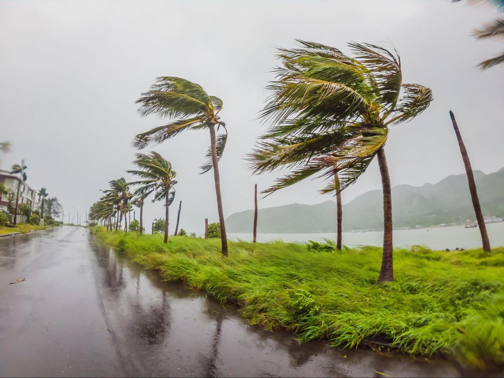 台風 植木鉢 しまわない 危険
