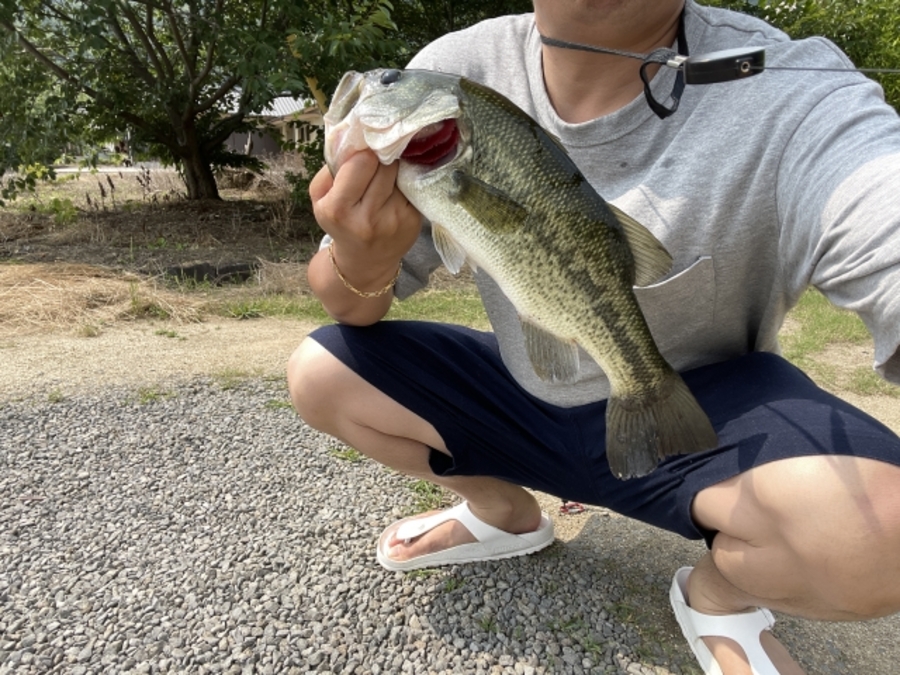 バス釣り　とは