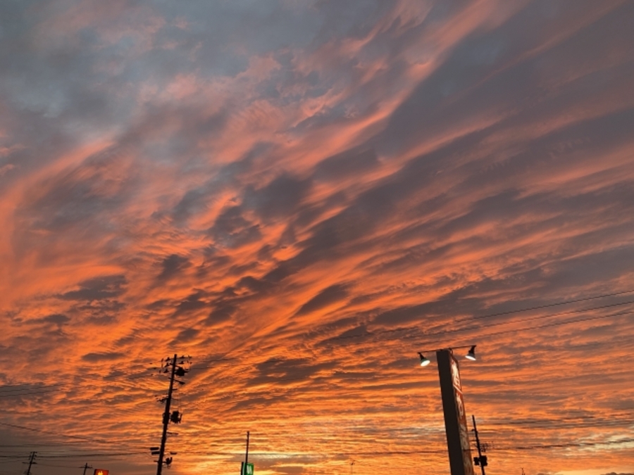 地震雲 以外 地震 前兆現象