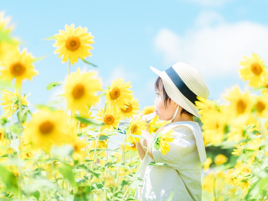 滋賀|滋賀農業公園 ブルーメの丘
