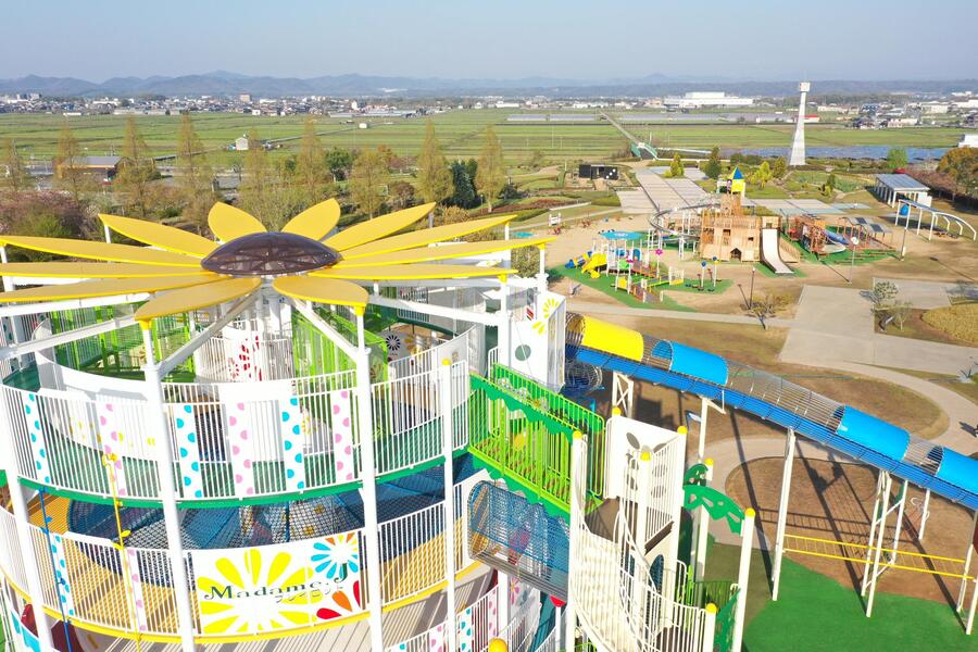 兵庫|ひまわりの丘公園
