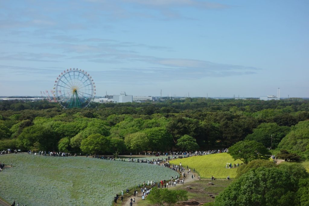 茨城県 イベント フェス 情報
